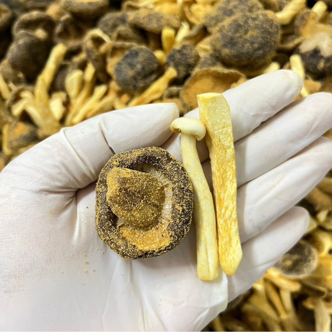 雜菇脆脆 Mixed Mushroom【8/6截單; 預計7-14工作天發貨】